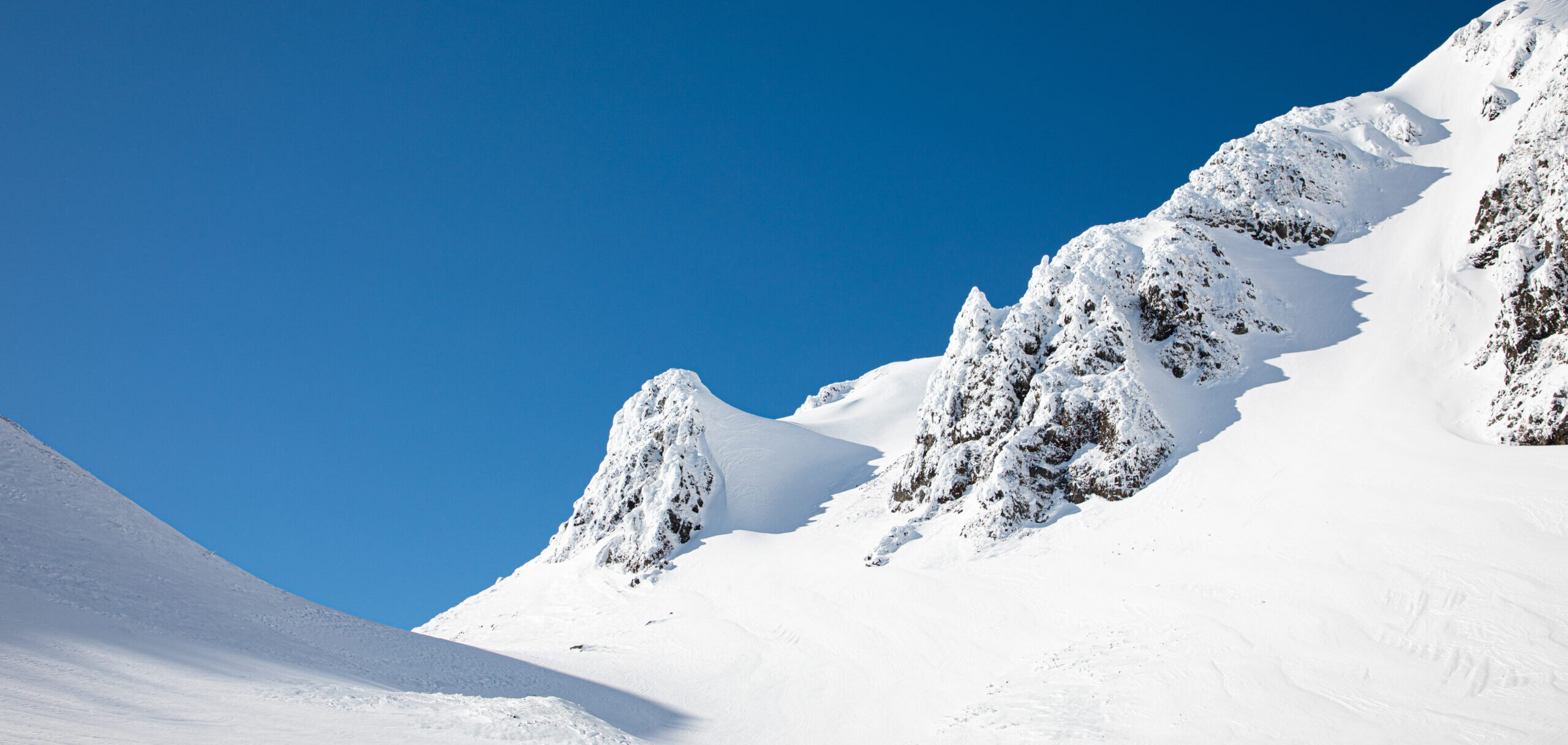 BCプライベートガイド