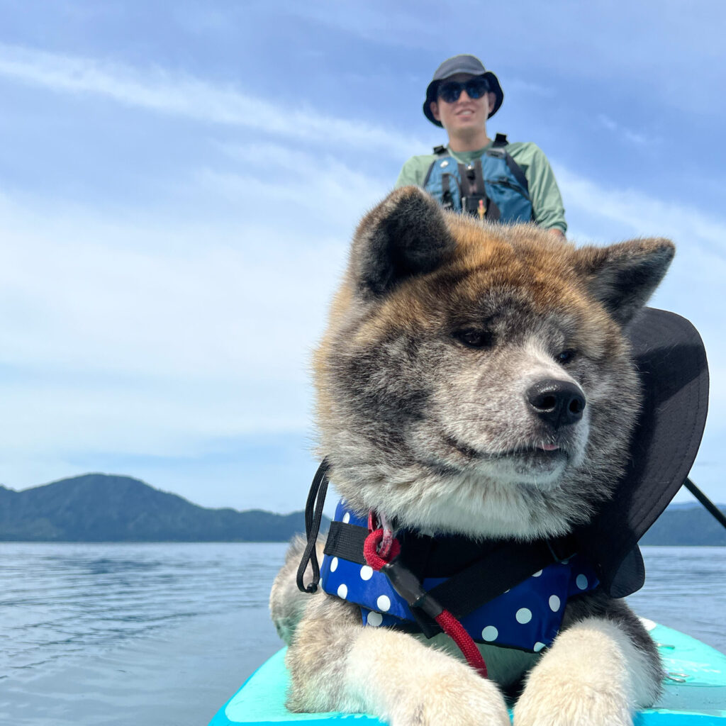 ガイド 村上裕哉