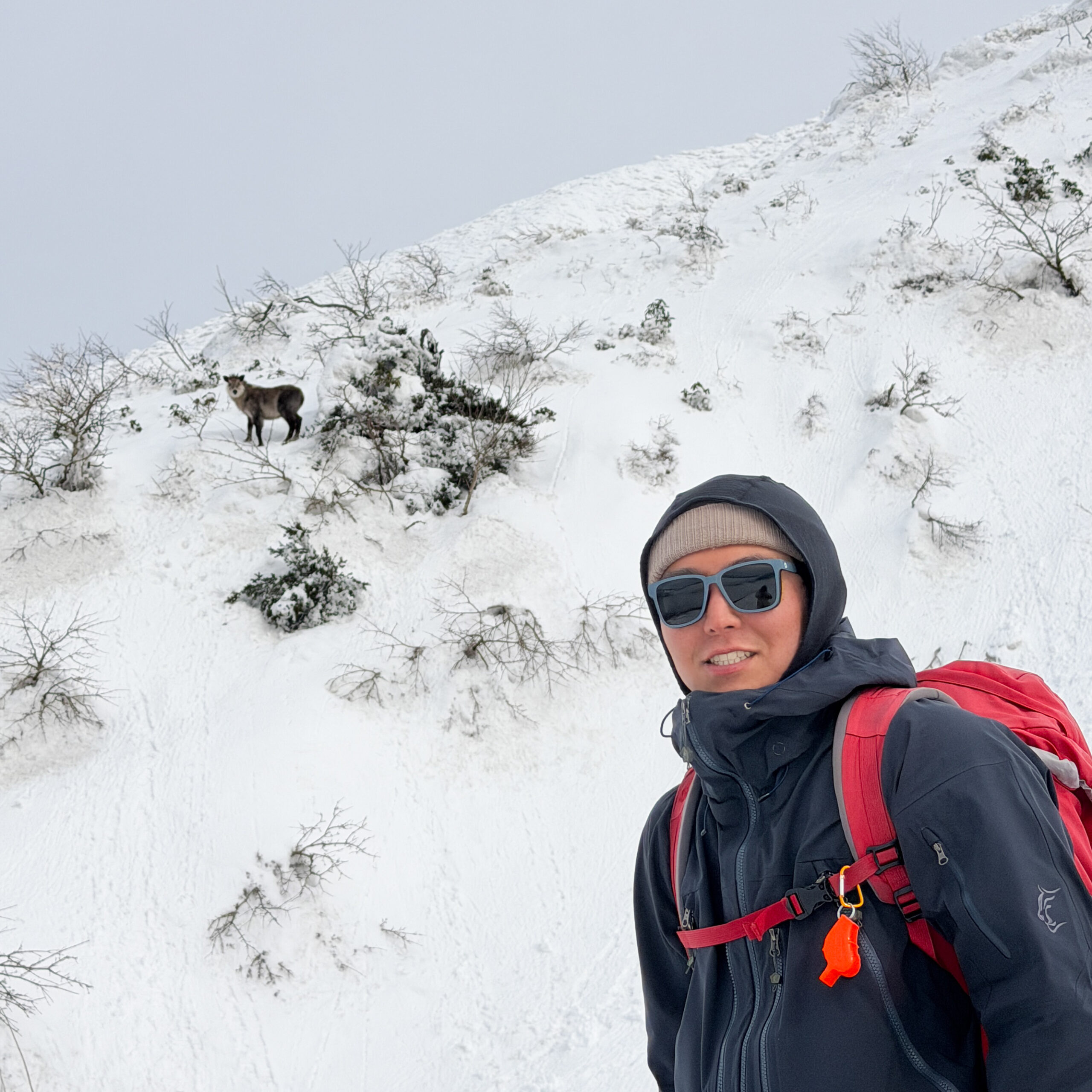 村上裕哉 ガイド写真