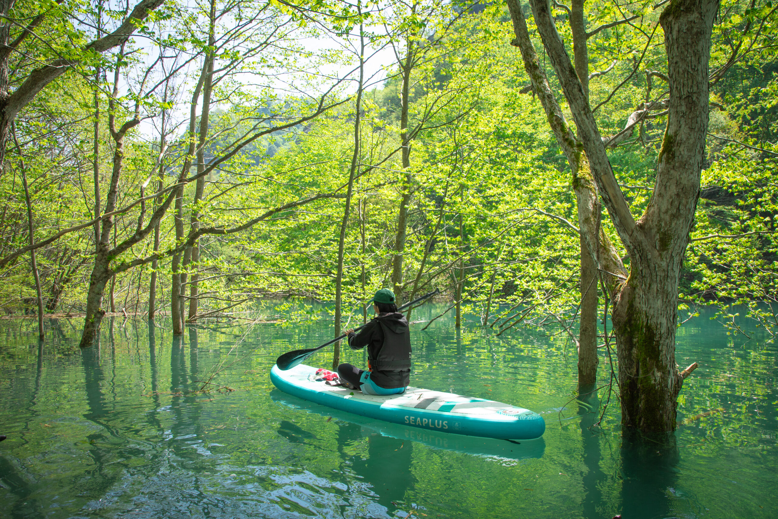 水没林クルージング