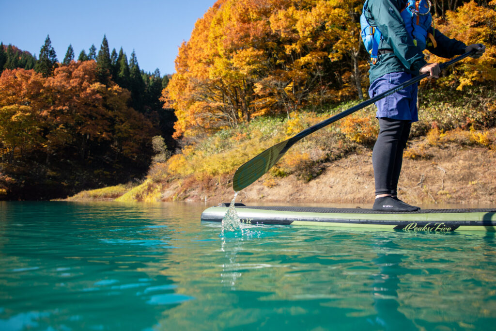 色づいた木々に囲まれた湖面をSUPで進む様子