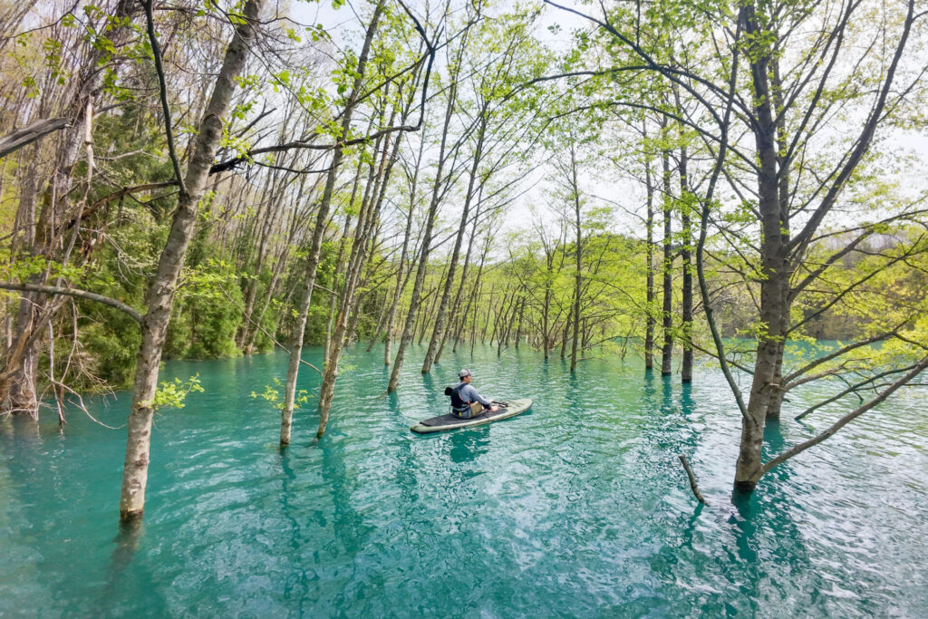 水面から樹々が立ち上がる静かな湖で、SUPに座る参加者