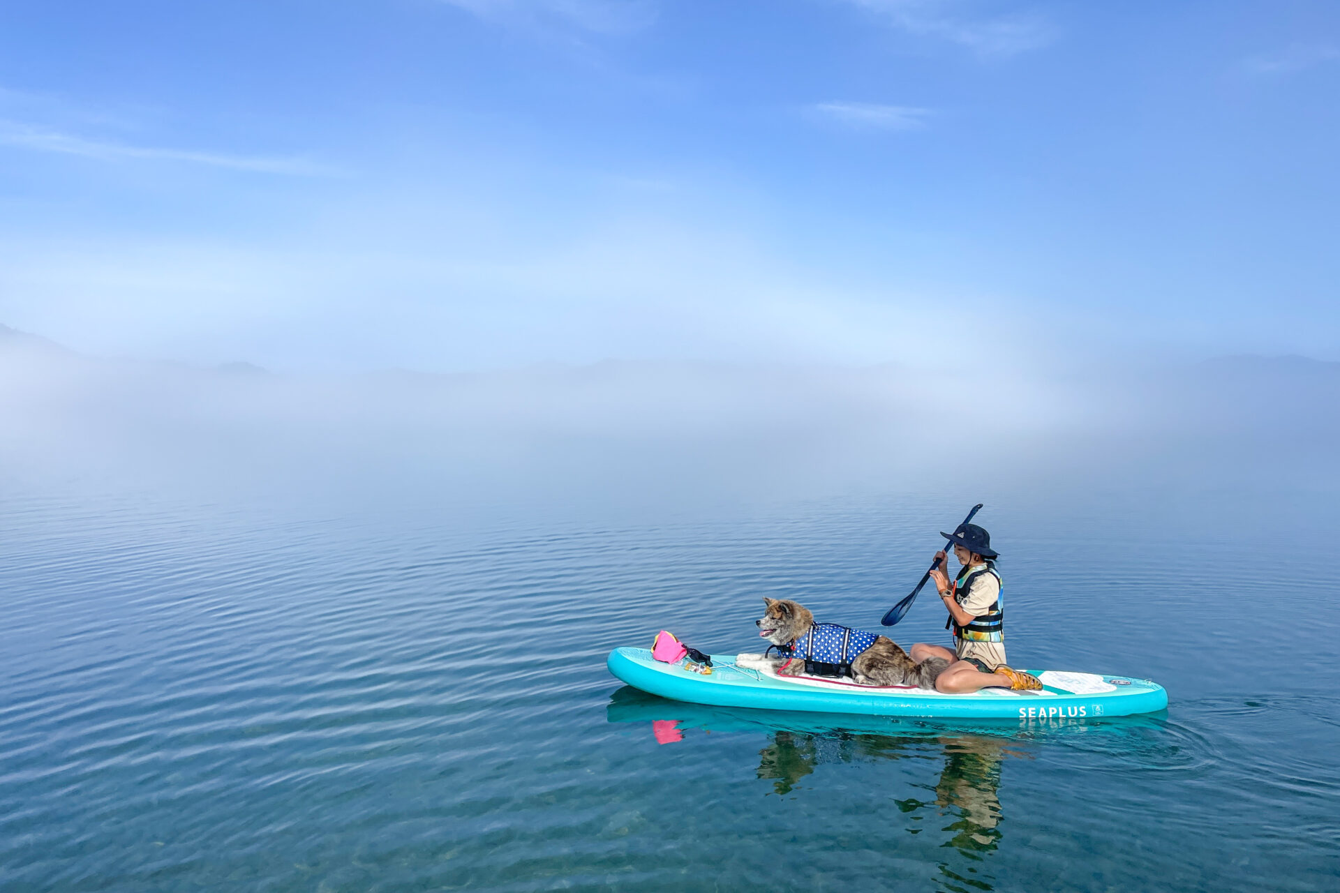 モーニングSUPで朝の田沢湖を漕ぐ人と、ライフジャケットを着けてボードに乗る秋田犬、澄んだ水面