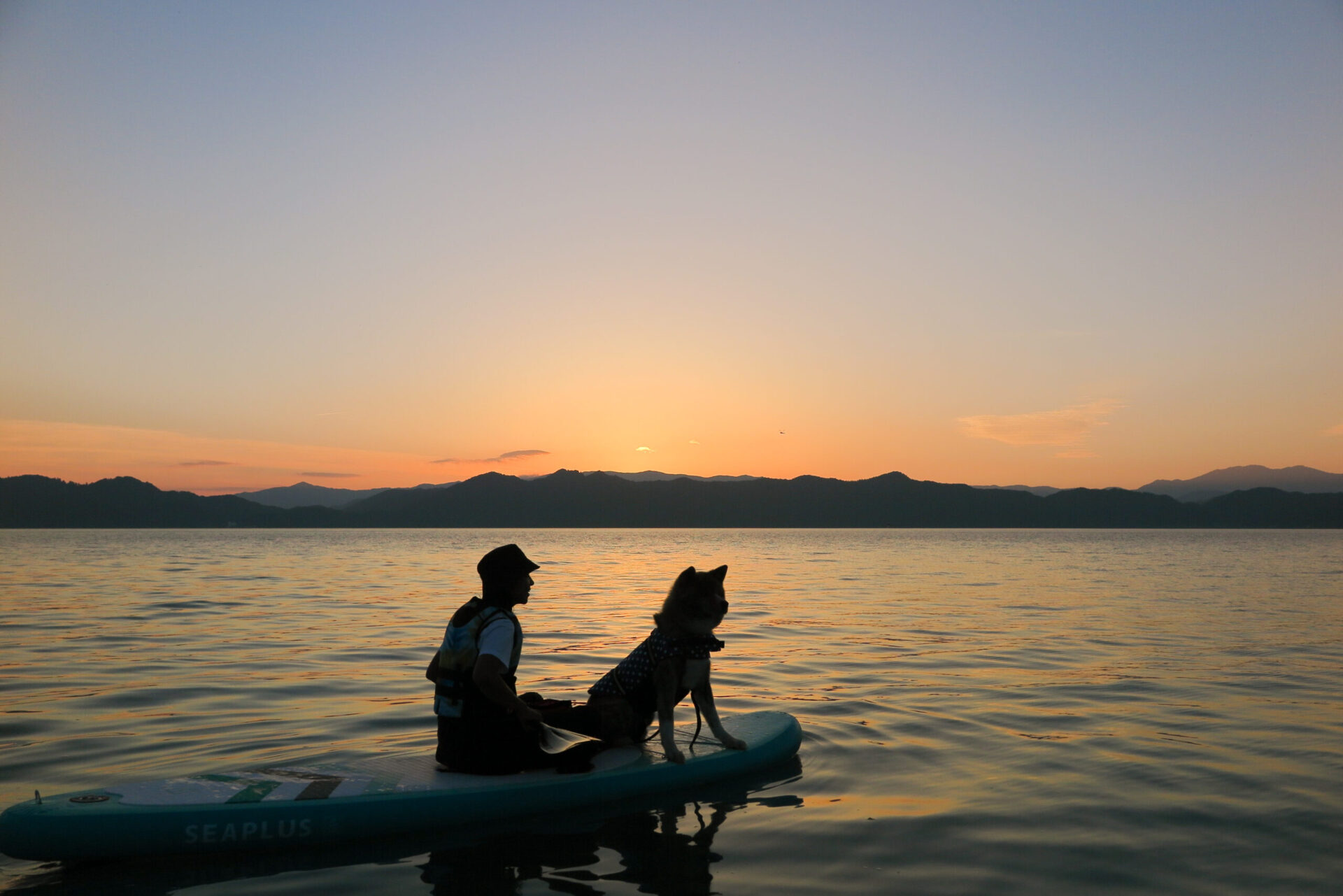 サンセットSUPで夕暮れの田沢湖に浮かぶ、ボードに座る人と秋田犬のシルエット