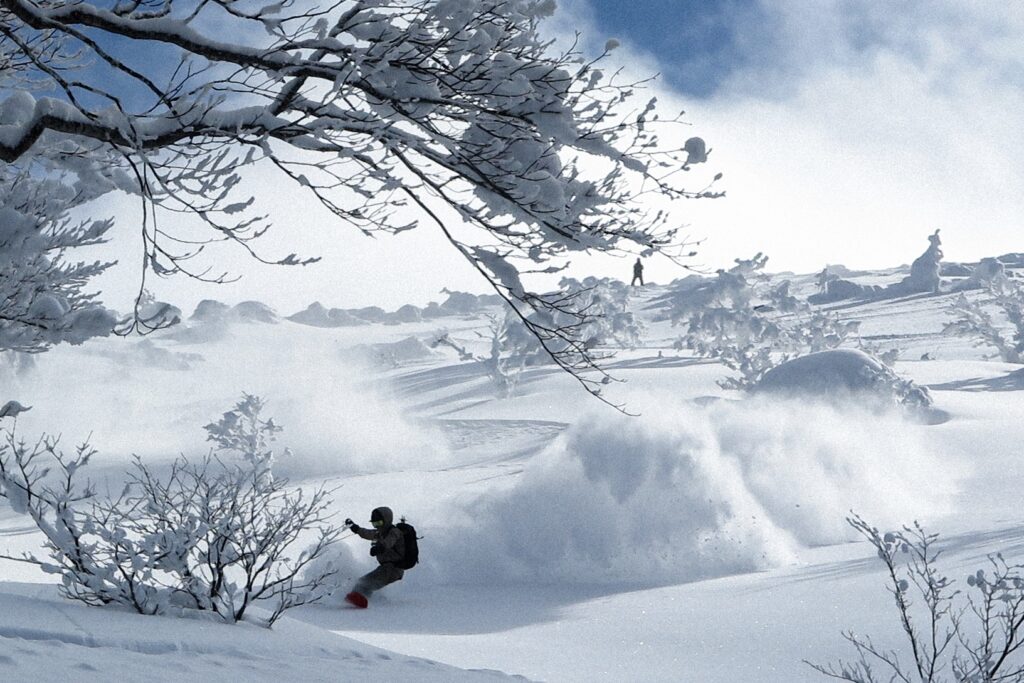 雪をまとった木々のあいだを滑る、秋田駒ヶ岳バックカントリーのスノーボーダー
