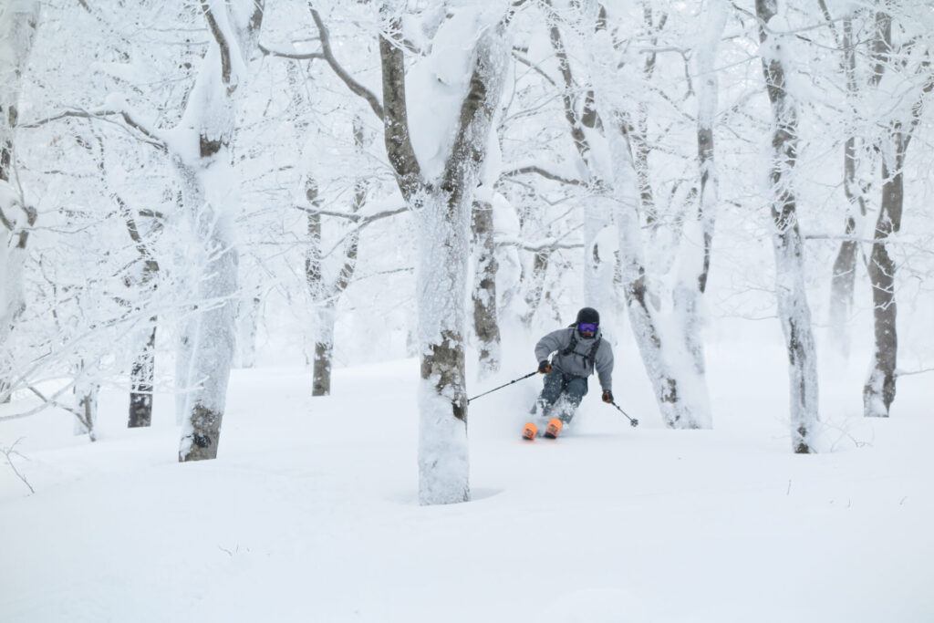 雪をまとった森吉山のブナの森を滑るツアー参加者