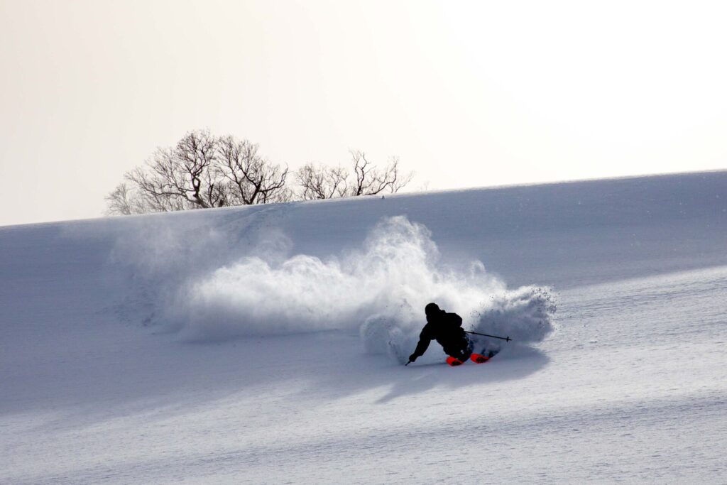 八幡平バックカントリー｜パウダースノーに雪煙を上げて滑るスキーヤー