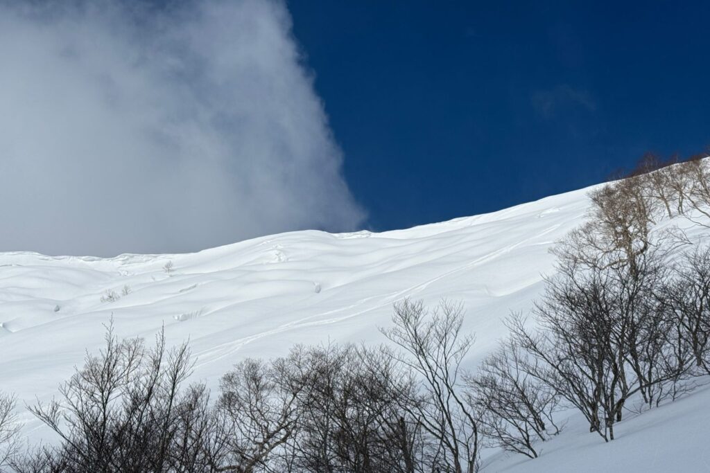 青空と雲の下に広がる、裏岩手のオープンな雪の斜面