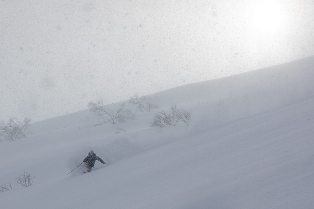 雪の降るなか、裏岩手の斜面を滑るスキーヤー