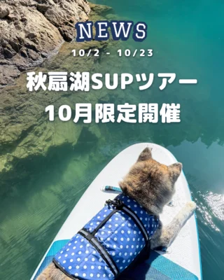 【10月限定】秋扇湖SUPツアー開催のお知らせ